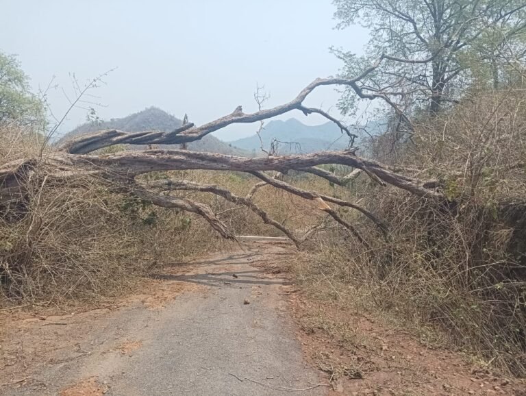 WhatsApp Image 2025-04-19 at 7.33.41 PM