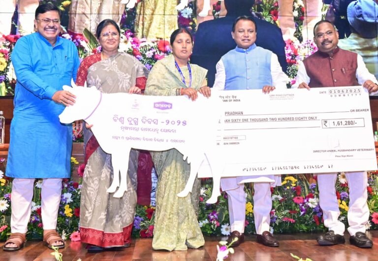 WhatsApp Image 2025-06-01 at 2.52.51 PM