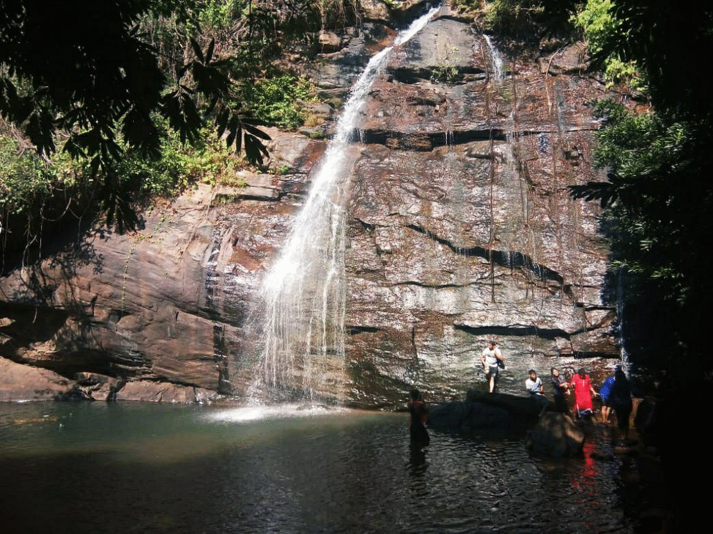 କକକକକକକକକକକ