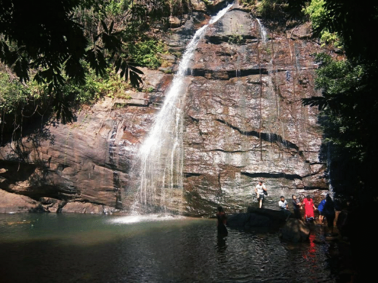 କକକକକକକକକକକ