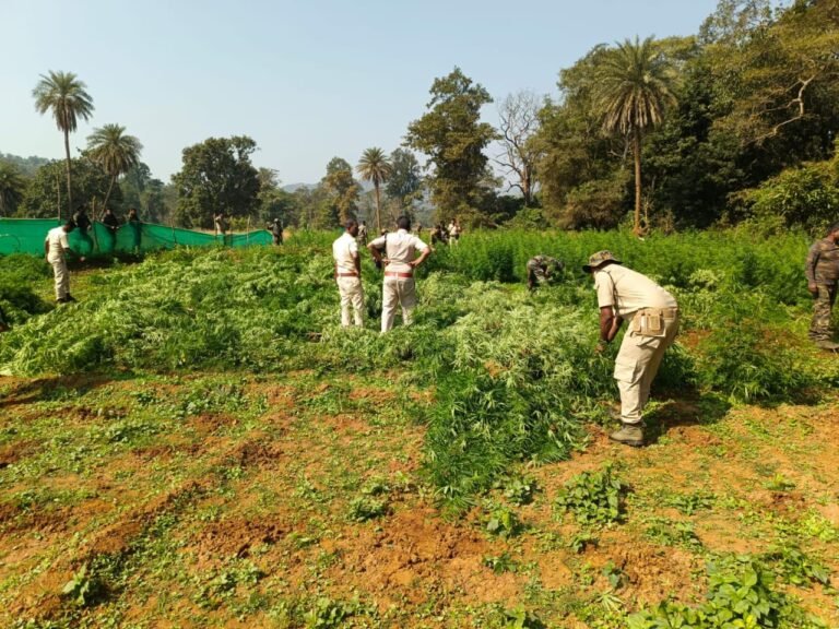 WhatsApp Image 2025-12-03 at 4.04.54 PM