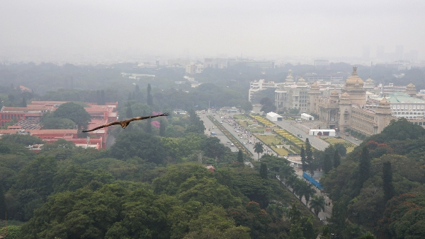 Weather Department ର ପୂର୍ବାନୁମାନ: 26 ତାରିଖ ପର୍ଯ୍ୟନ୍ତ ଶୀତଳ ବର୍ଷାଭରା ରାତି
